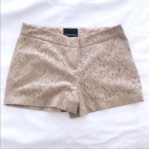 Cynthia Rowley Tan Lace Oxford Shorts Size 4